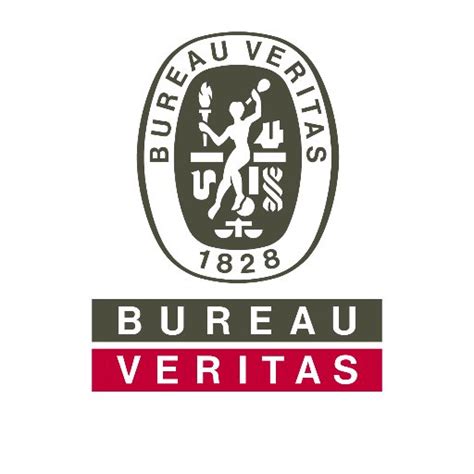 Org Chart Bureau Veritas The Official Board