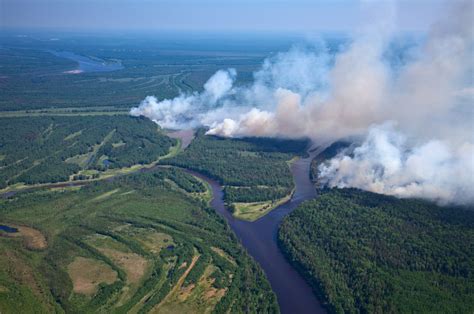 Waldbr Nde In Portugal Mit Vielen Toten