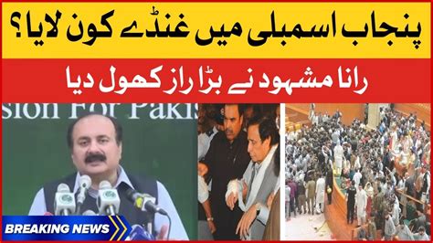 Punjab Assembly Mai Gundey Kon Laya Rana Mashood Big Statement