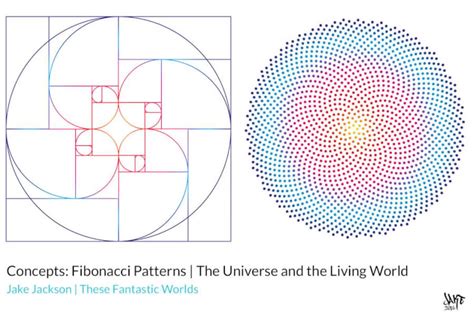 Concepts | Fibonacci Patterns