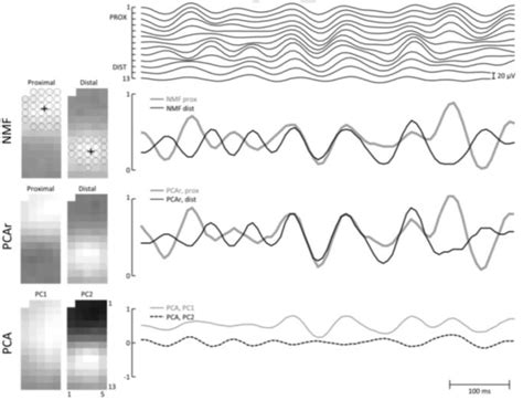 Figure From University Of Birmingham Identification Of Regional