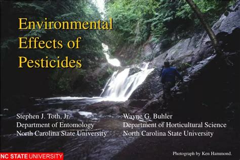 PPT Environmental Effects Of Pesticides PowerPoint Presentation Free