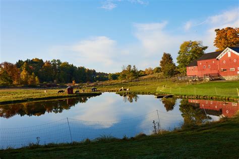 An Afternoon at the New York Sheep and Wool Festival in Rhinebeck | Vogue