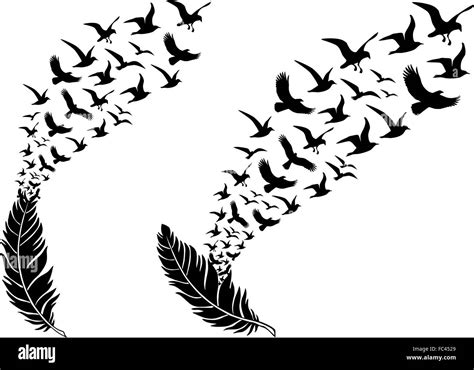 feathers with free flying birds, vector illustration for a wall tattoo ...