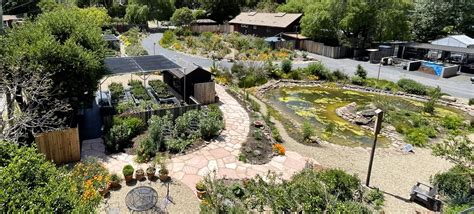 Native Plant Nursery Novato Home Ground Habitats