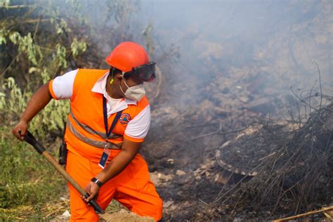 Ministerio de Agricultura hace conciencia sobre daños irreversibles que