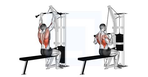 Cable Pulldown - Guide, Benefits, and Form