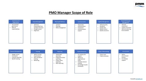 Pmo Functions Project Management Office Functions