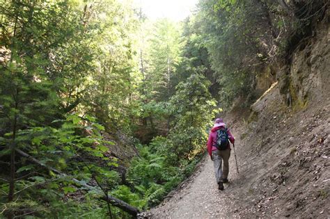 Whiskeytown Falls - California's Re-discovered Waterfall