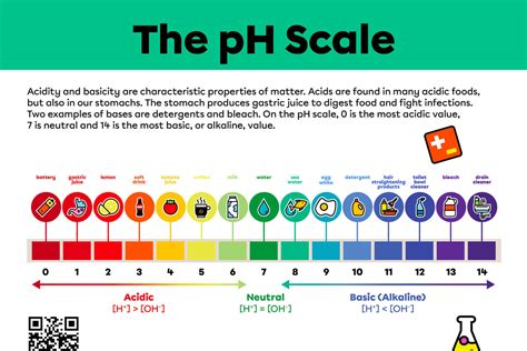 Poster The Ph Scale Alloprof