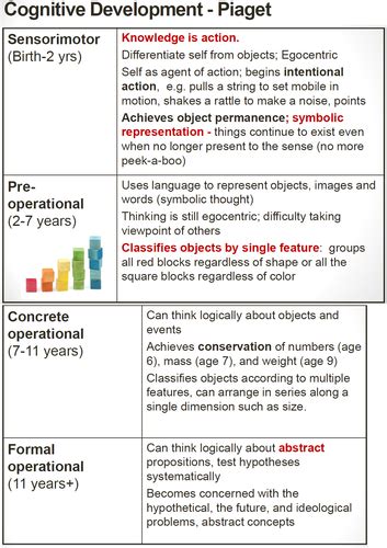 Chapter 4 Cognition Consciousness And Language Flashcards Quizlet