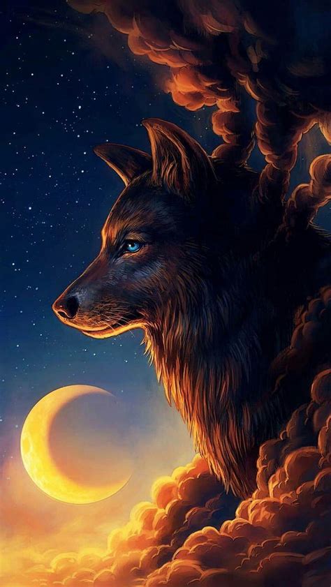 Wolf - Wild Animals, wild animals, HD phone wallpaper | Peakpx