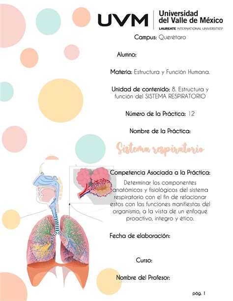 Estructura Y Funci N Del Sistema Respiratorio Campus Quer Taro