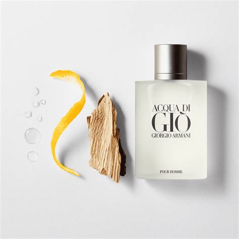 Perfume Giorgio Armani Acqua Di Gio Masculino