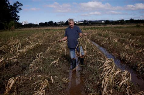 Las Pérdidas Por Las Inundaciones En El Sur De Brasil Superan Los 3 600 Millones De Dólares Y Se