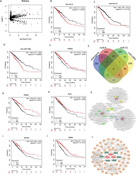 Identification Prognosis Related Differentially Expressed Micrornas And