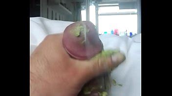 Avocado Fuck XNXX