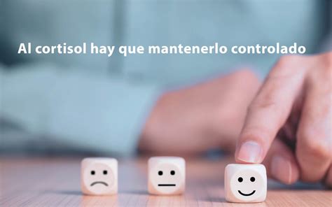 Qué sucede cuando tenemos exceso de cortisol Spot Heal