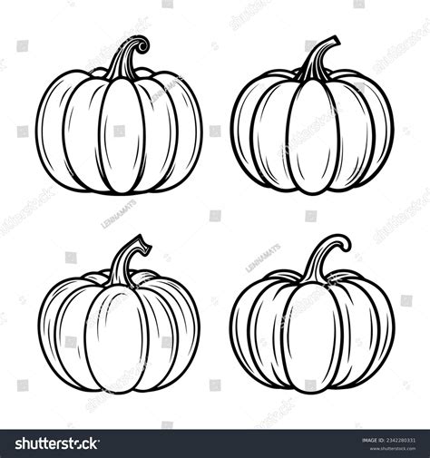 Outline Pumpkin Photos, Images & Pictures | Shutterstock