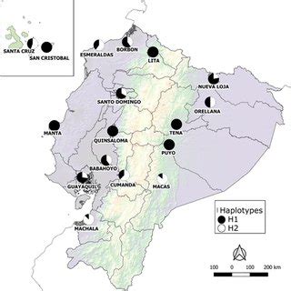 Map of distribution of the two haplotypes of Aedes aegypti populations... | Download Scientific ...