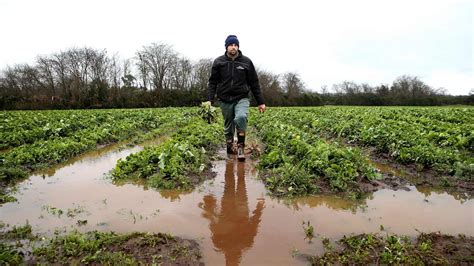 Treasurer Jim Chalmers Working To Limit Impact On Fresh Produce