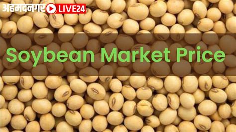 Soybean Market Price Soybean Prices Continue To Fall Read Todays Soybean Market Prices