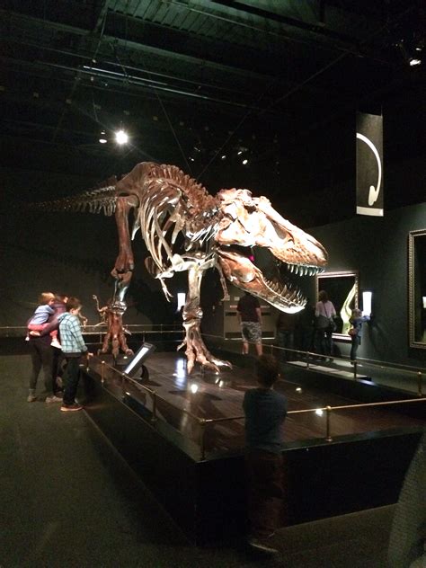 Activities | Calgary | ANNE'S Language House