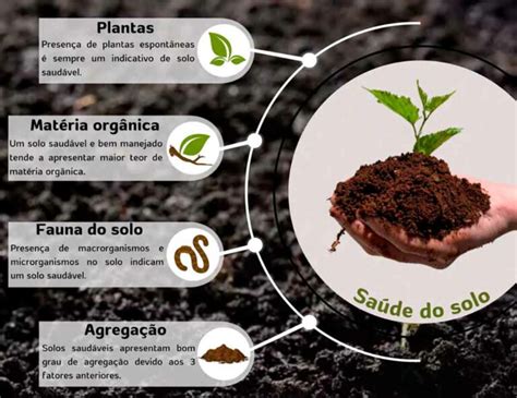 Porque O Solo É Importante - A segurança alimentar depende de solo saudável - RURALTECTV