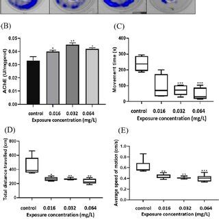 Fenpropathrin Exposure Induced Oxidative Stress In Zebrafish Embryos