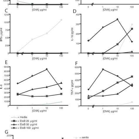 Bm Ms Were Cocultured With Cd4 Macs Enriched Ot Ii Splenocytes In The