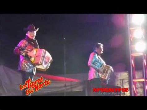 Los Tigres Del Norte José Pérez León En Vivo YouTube