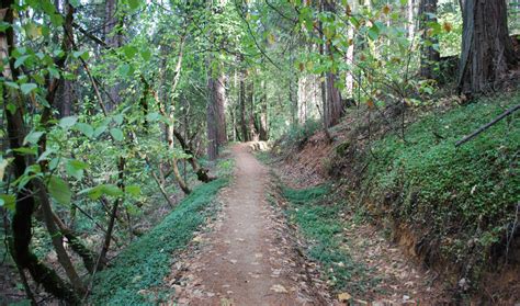 Hiking & Local Trails | Nevada City California