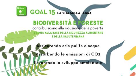 Sdg Goal La Vita Sulla Terra Youtube