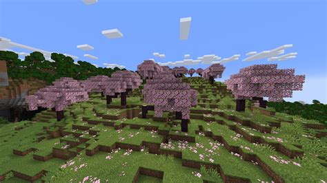 How To Find The Cherry Blossom Grove Biome In Minecraft