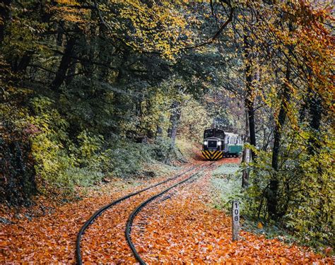 Il Treno Del Foliage Panorami Spettacolari