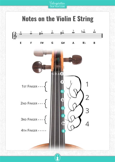 Beginner Violin String Notes