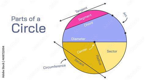 Parts of a circle vector illustration, what is segment, radius ...