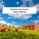 Nombres Para Fincas Casas O Quintas Ideas Nicas Para Inspirarte