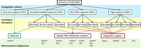 Evaluation And Management Of Indeterminate Thyroid Nodules The