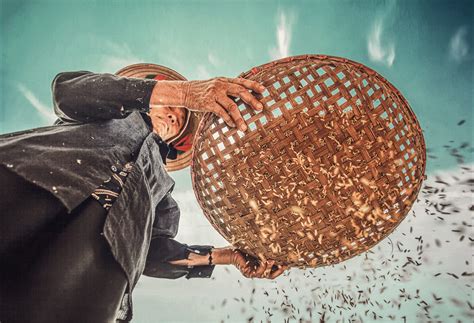 Critics are debating whether ethos imperial is actually worth the price