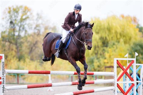 Young rider girl on bay horse jumping over barrier on equestrian sport competition. Horseback ...