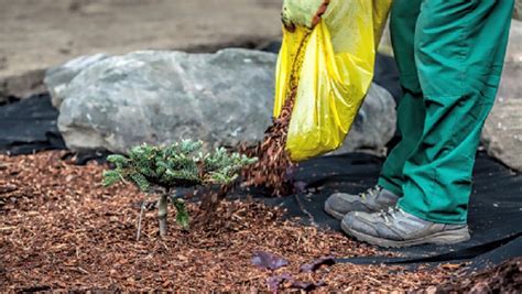 Sheet Mulching — Break Up With Your Lawn Save Our Water California