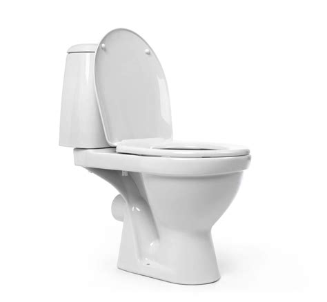 6 Tips to Maintaining a Clog-Free Toilet - McHale's Inc.