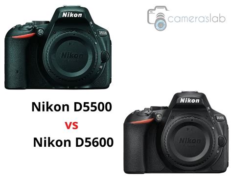 Nikon D5500 vs D5600 - Know the Differences & Get the Best One ...