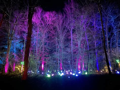 Winter Lights - The North Carolina Arboretum