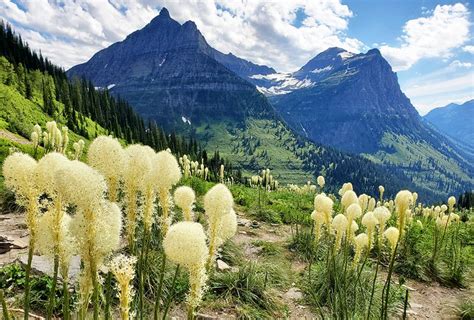 12 Top-Rated Tourist Attractions in Montana | PlanetWare