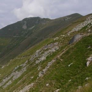 Lago Maggiore Aliante Precipita Sul Monte Vad Montagna Tv