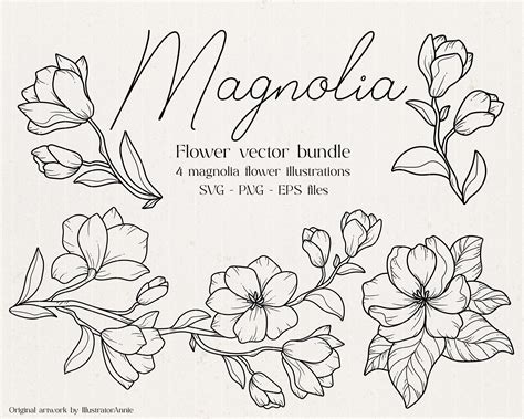 Magnolia Svg Flower Bundle Magnolia Vector Flower Flower Etsy