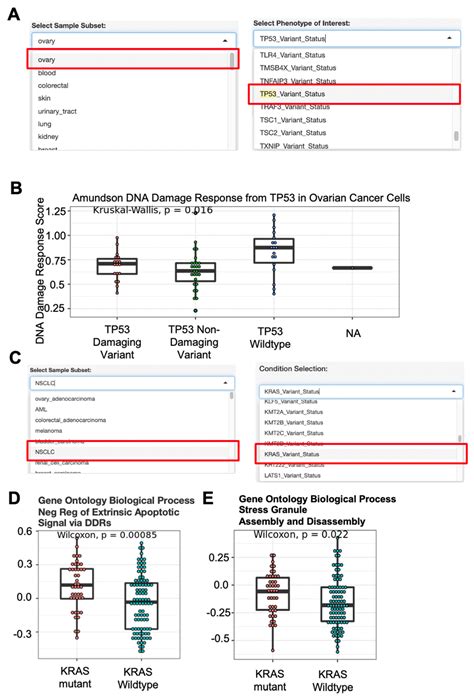 Biology Free Full Text DRPPM EASY A Web Based Framework For