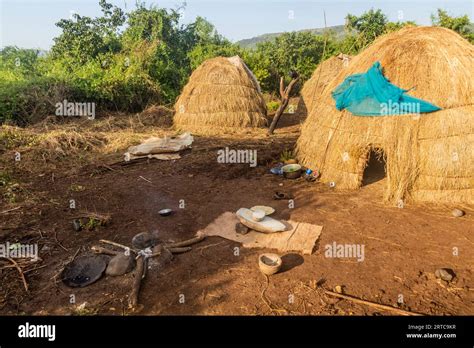 Huts Of Mursi Tribe Village Ethiopia Stock Photo Alamy